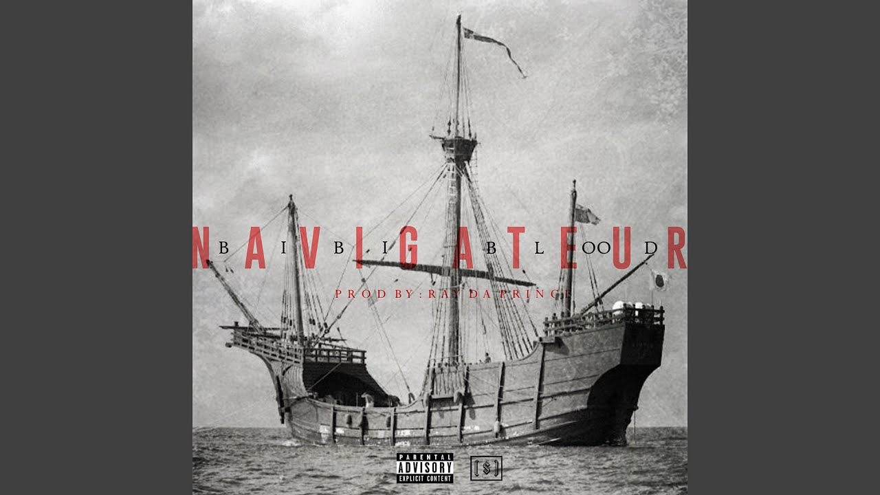 Navigateur