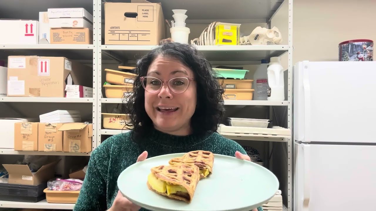 New Optavia fueling hack- Golden Butterscotch Blondie egg and cheese