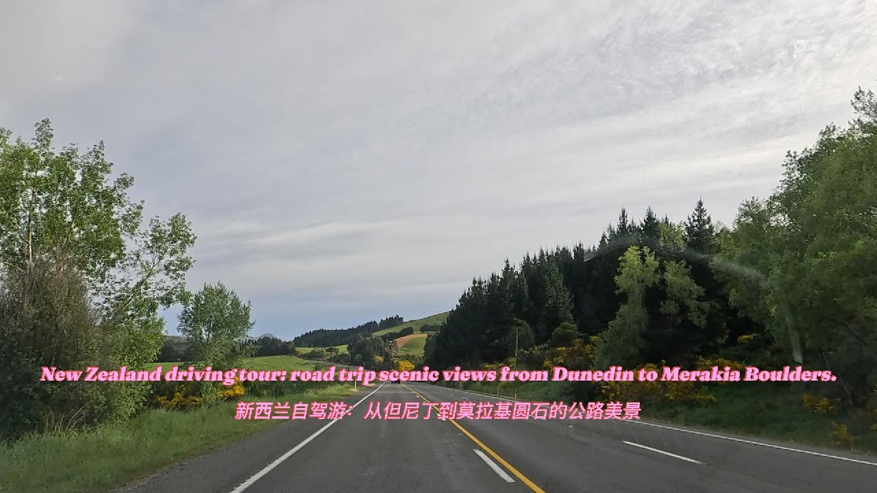 #dailylife #travel #roadtrip #NewZealand #Dunedin to Moeraki Boulders