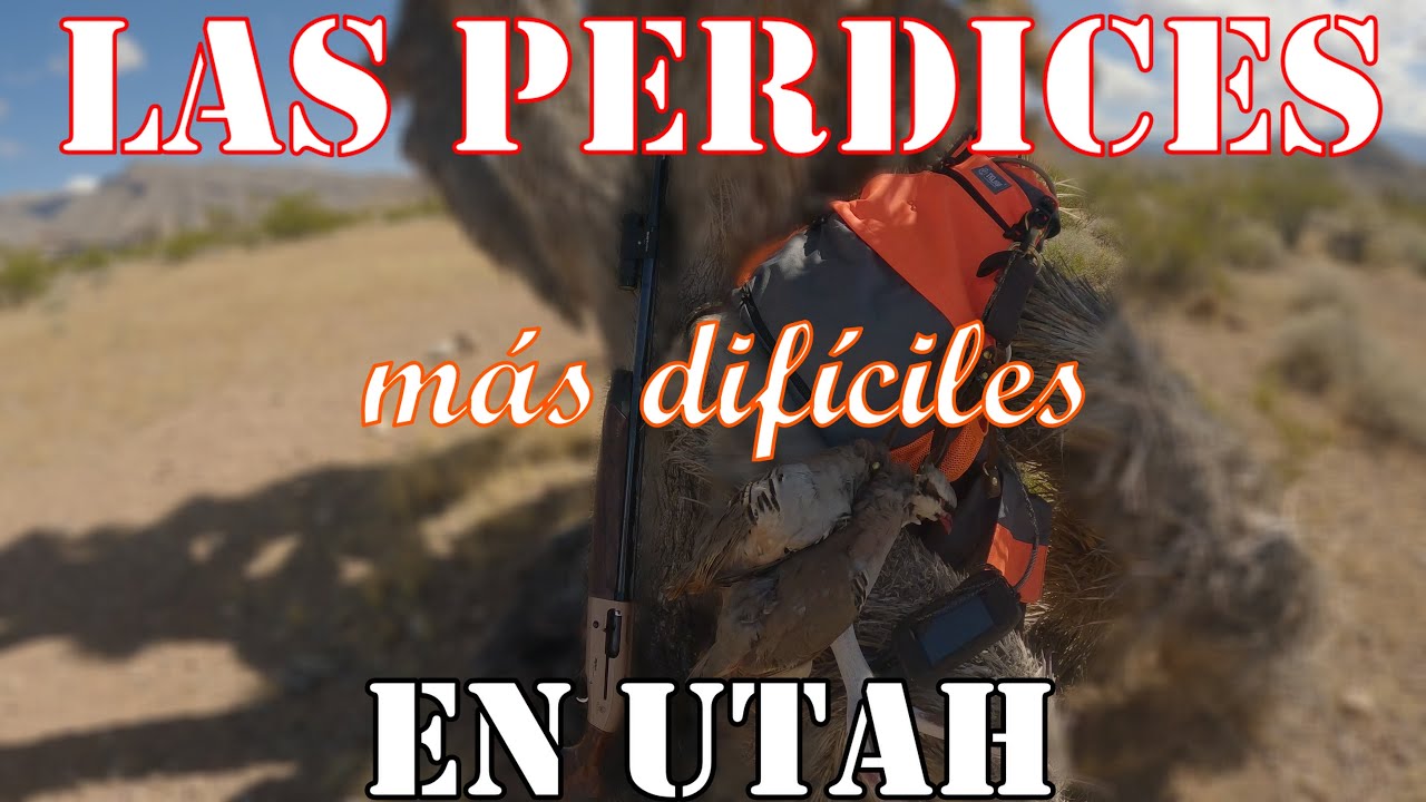 A perdices salvajes en las montañas de Utah