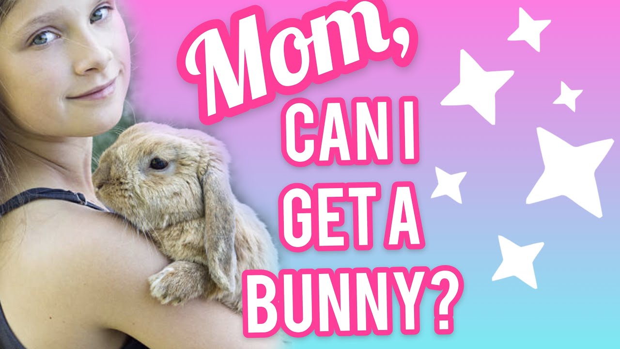 Tips To Convince Your Parents To Get You A Bunny ~ 100 SUBSCRIBER GIVEAWAY ANNOUNCEMENT