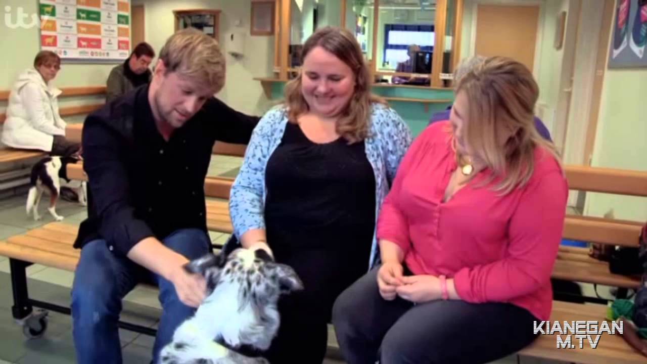 Kian Egan - Fat Pets *Slimmer Of The Year* [EP5 - 2015]