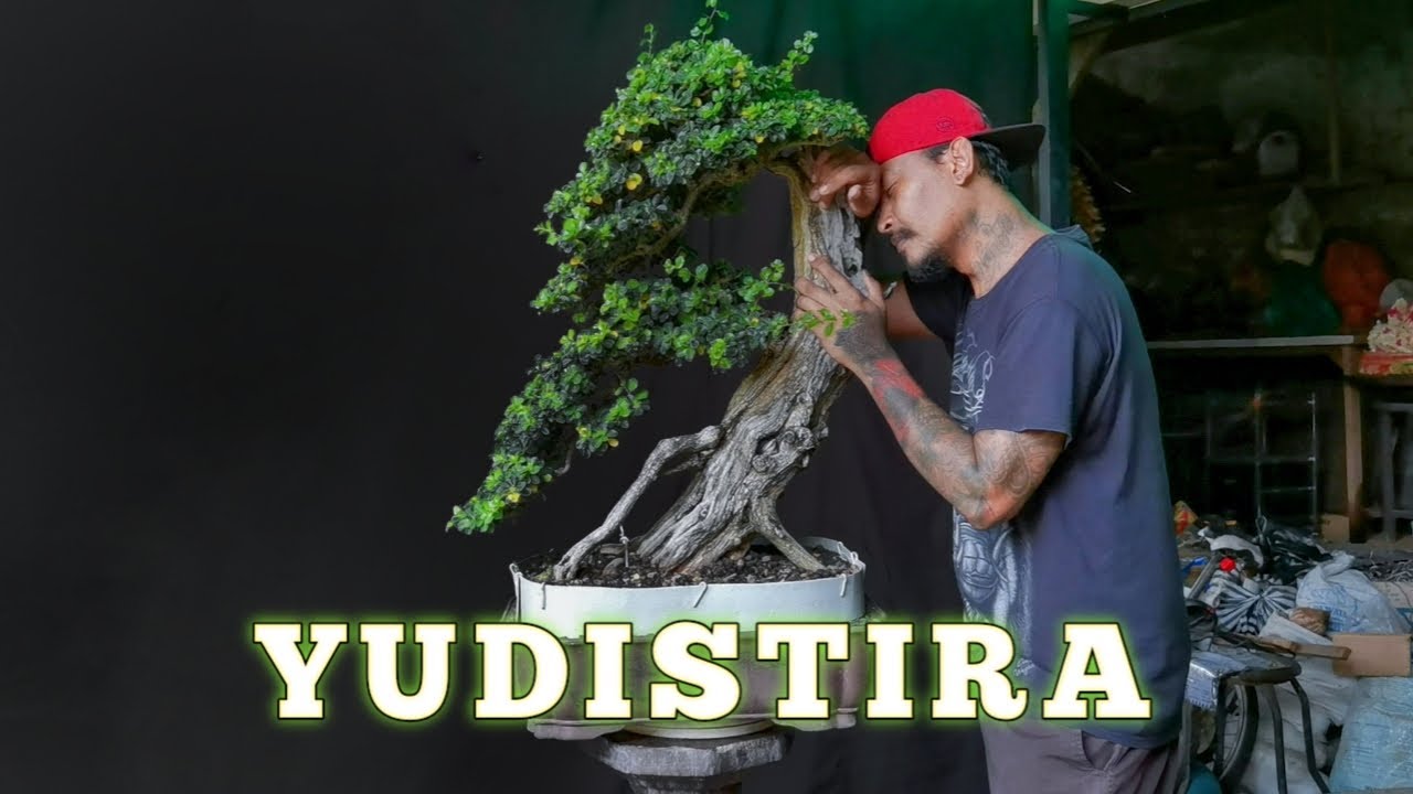 RESTORASI SISIR PURBA..!!