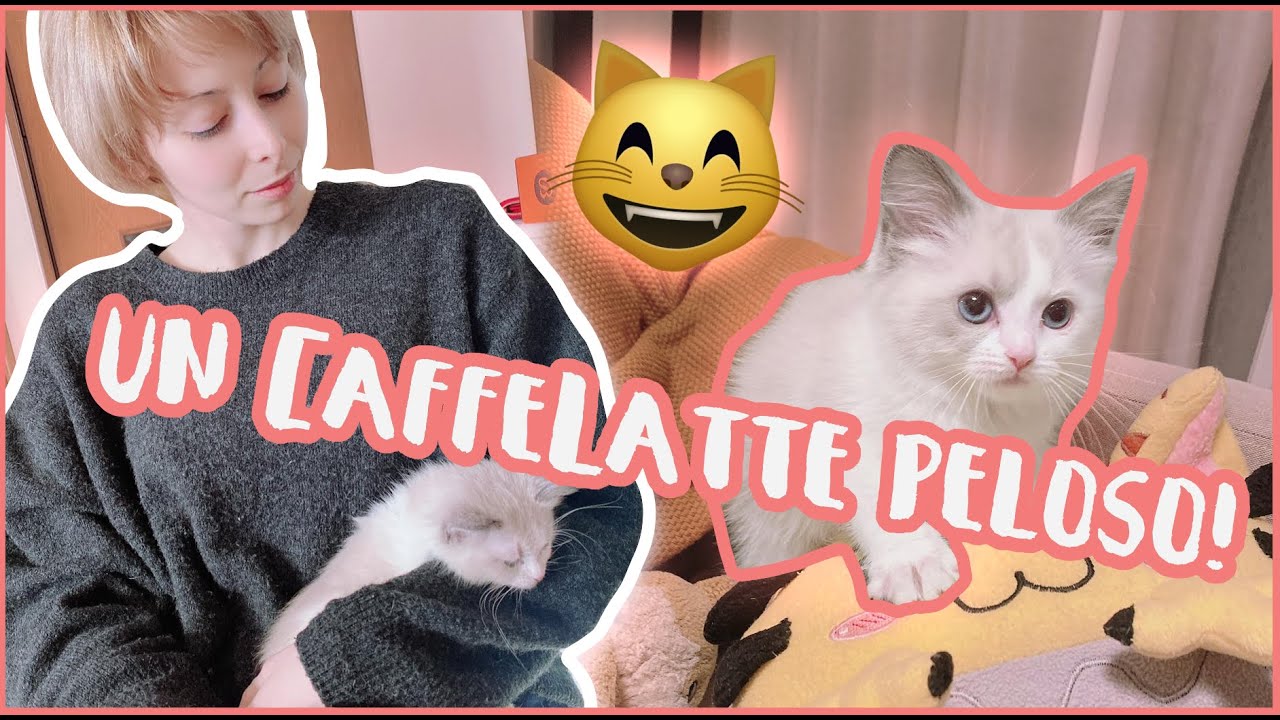 Vi PRESENTO la NUOVA ARRIVATA 🐱 | Yuriko Tiger