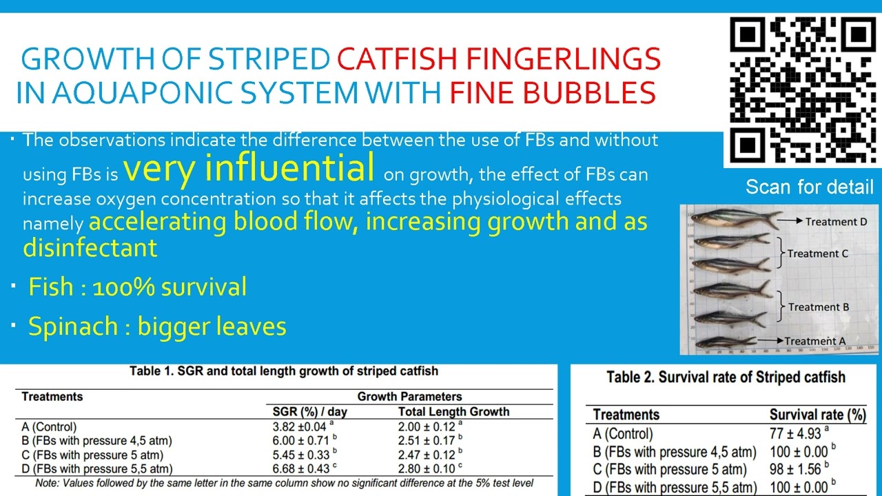 Nanobubble to Larviculture of fish, shrimps and other aquatic species