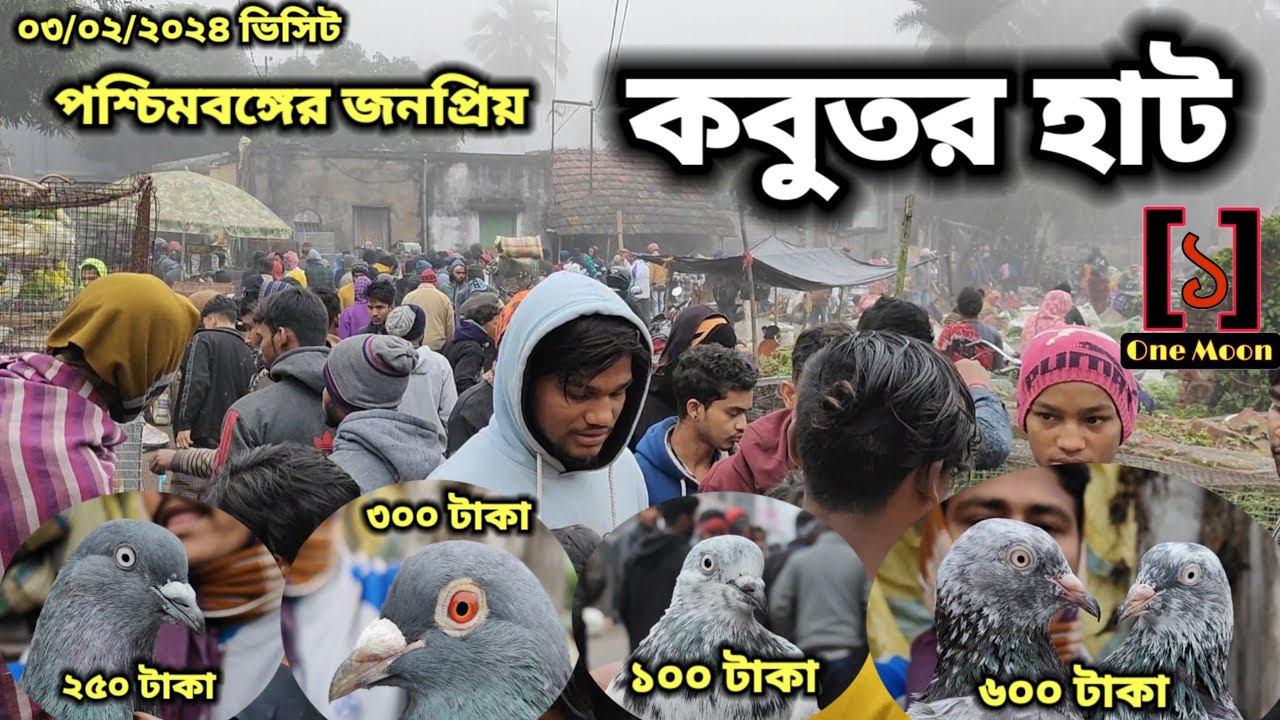 Uluberia pet market | Current Exotic Pigeon's Price Update at Uluberia 03/02/2024 Visit | One Moon