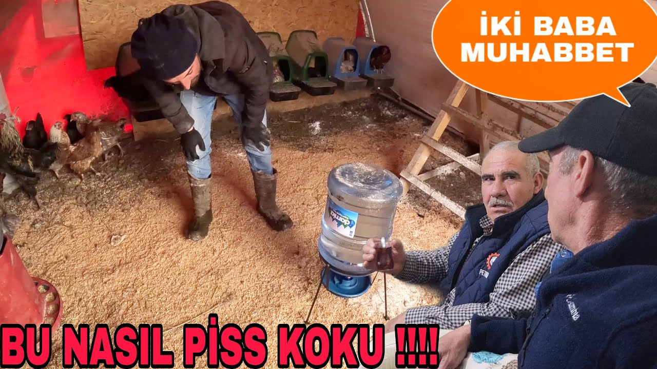 BABAMA ÇARPIYORDUM!! HAPŞURUK KRİZİ!AKBAŞLAR KOYUN CEVİRİRSE~OĞLAN EVİNE İFTAR~RUH HALİ