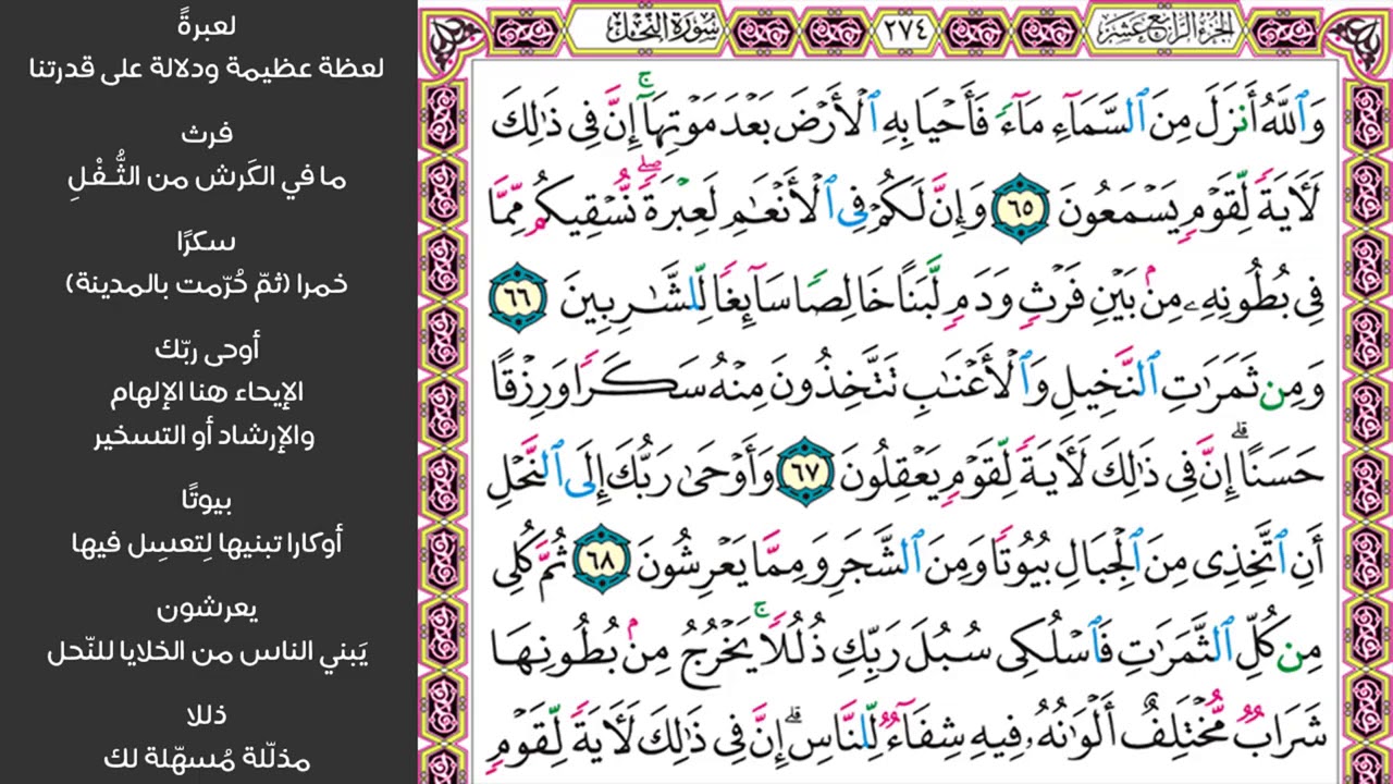 #8 سورة النحل||صفحة 273||والله انزل من السماء ماء فأحيا به الارض ||مكررة 10مرات ماهر المعيقلي