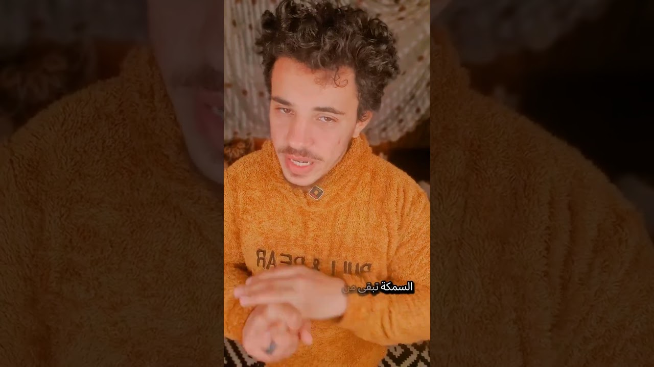 دليلك لتغذية قطتك 🐈✨❤
