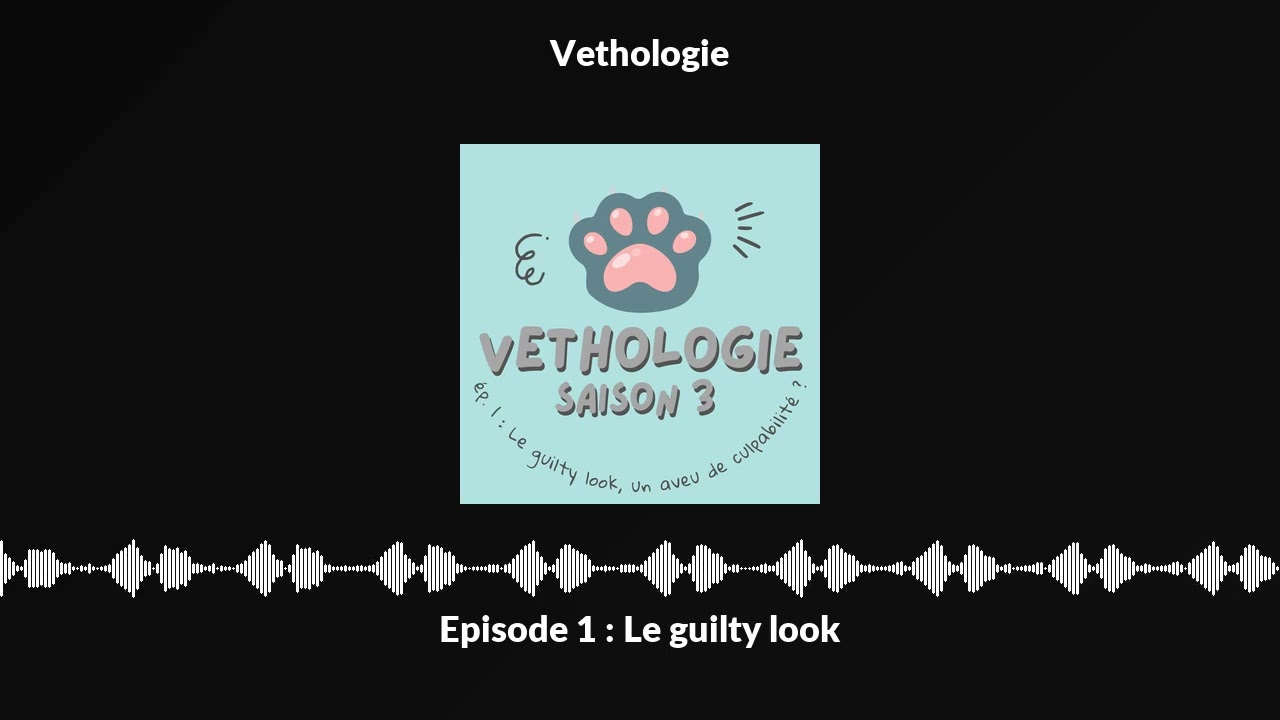 Episode 1 : Le guilty look