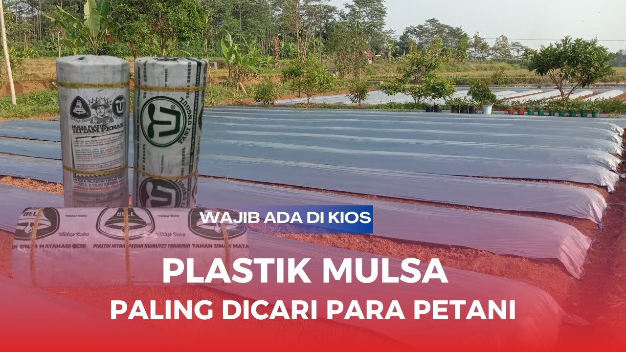Merk Bell Plastik Mulsa Pertanian Terbaik Paling Awet Cap Badak Atau KTG ?  ini Yang Paling Laris