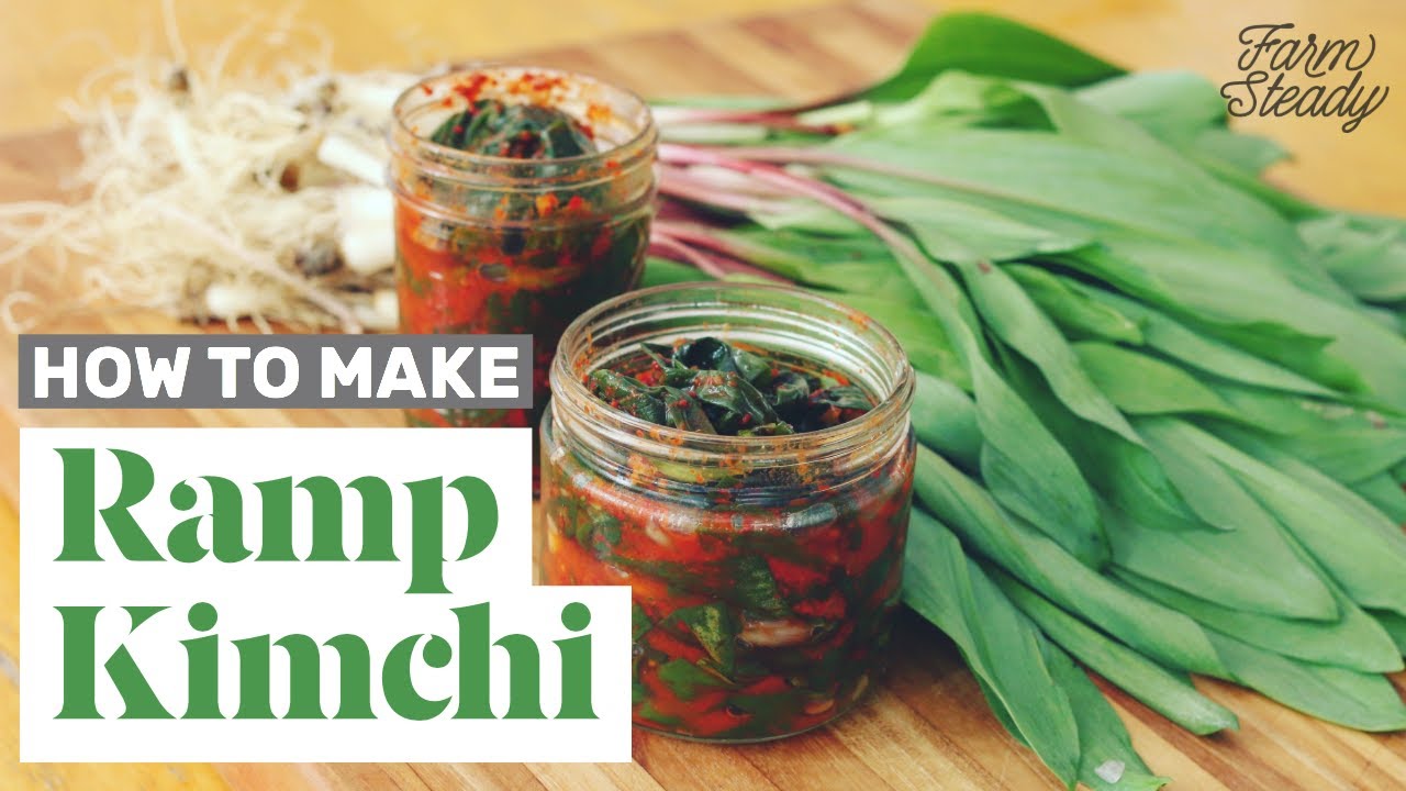 How to Make Ramp Kimchi | Homemade Fermented Kimchi Recipe with Sustainably Foraged Ramps