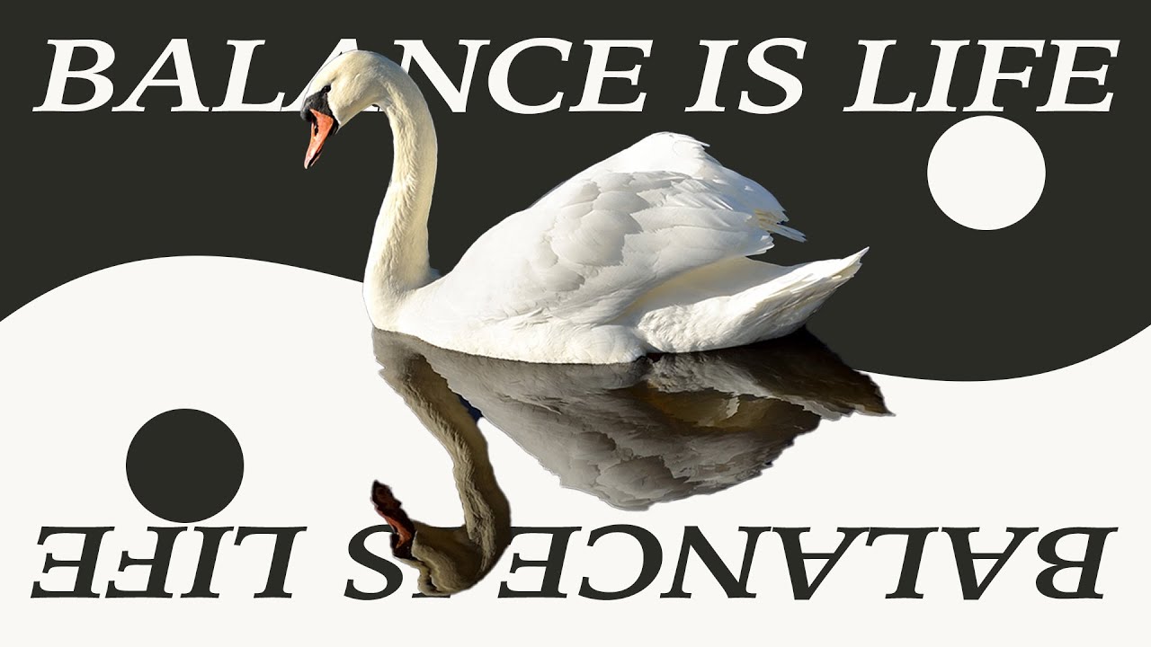 5 Tao Principles for Living a Good Life