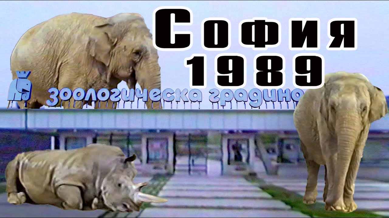 Зоологическа градина София (1989) – Архивни VHS кадри | Слонове, Тигри, Маймуни и още