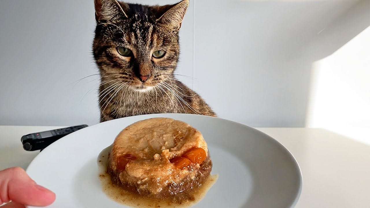 Cat Eating Papaya in Chicken & Tuna Mousse | ASMR 🎧