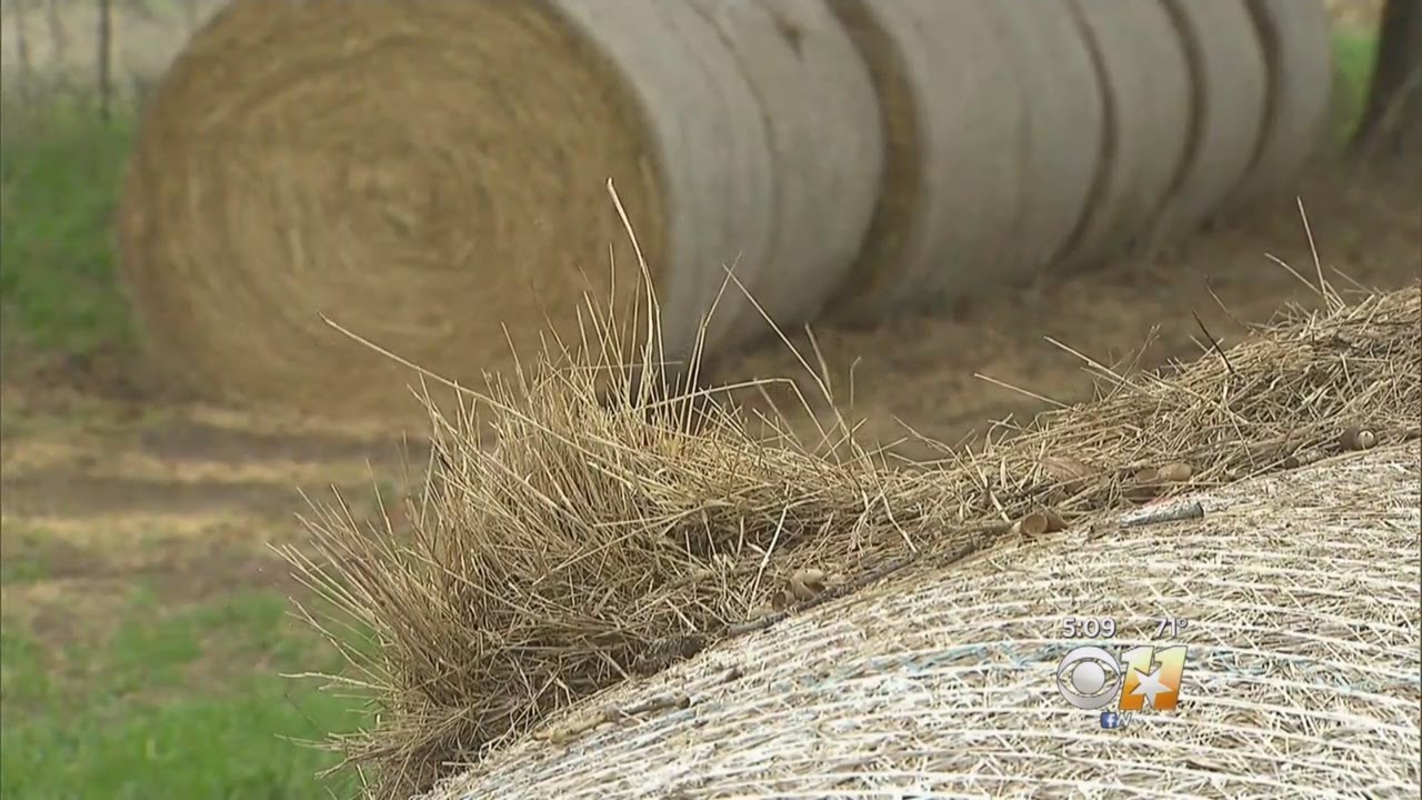 Local Ranchers Helping Wildfire Zones