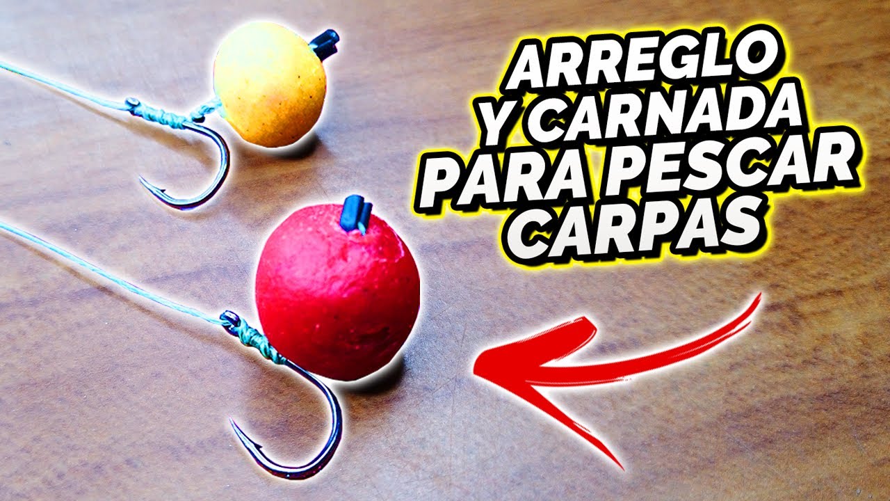 CARNADA para PESCAR CARPAS estilo BOILIES (Fácil y rápida)