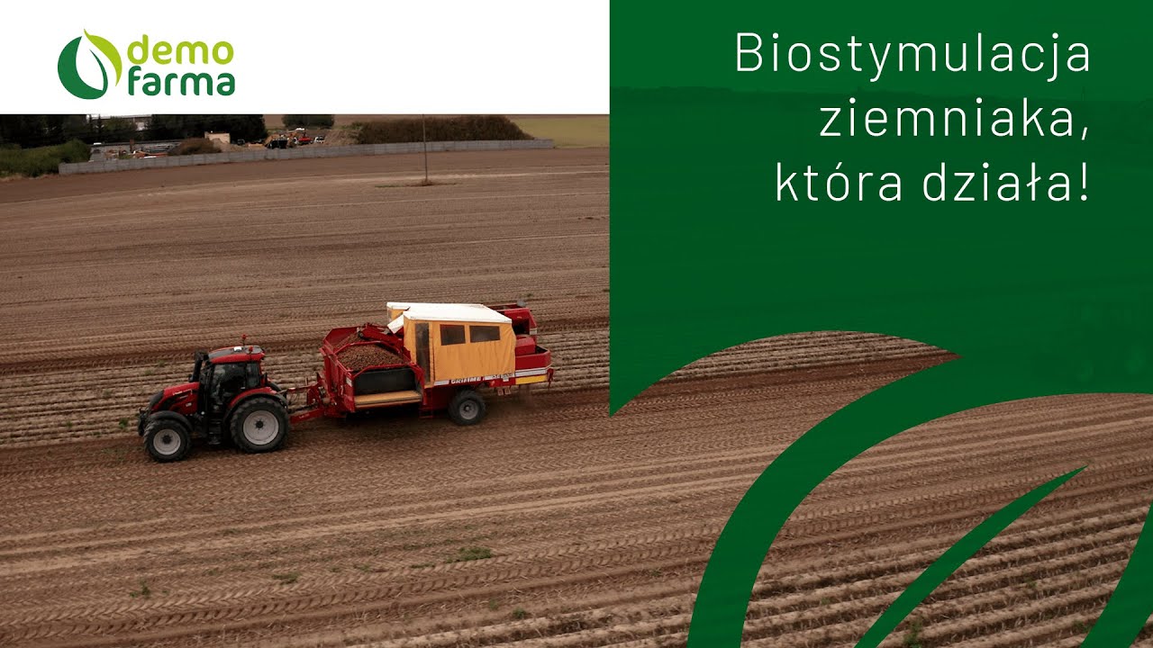 🥔 Biostymulacja ziemniaka – efekty w sezonie 2025