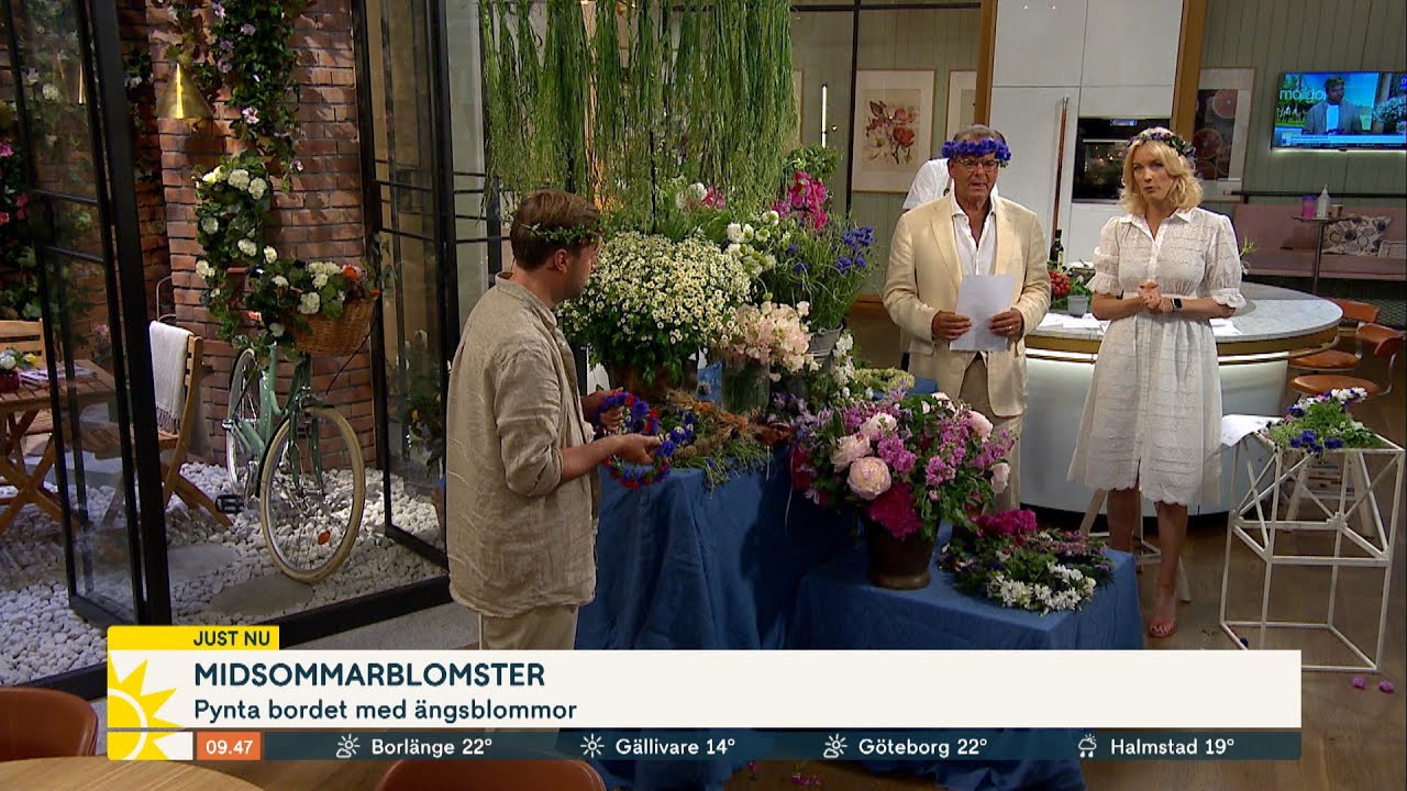 Svensk dryckeskultur: &rdquo;Alkoholfritt &auml;r den nya trenden&rdquo; - Nyhetsmorgon (TV4)