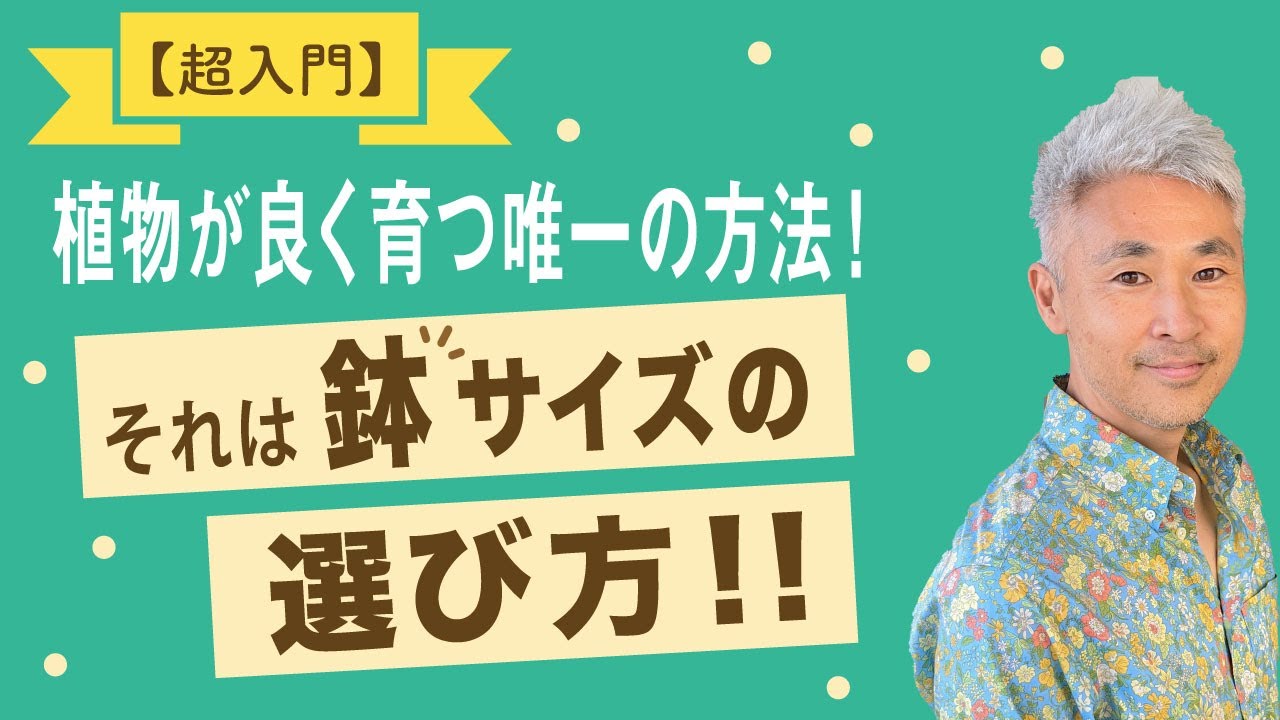 【超入門】植物が良く育つ唯一の方法！　それは鉢サイズの選び方！！