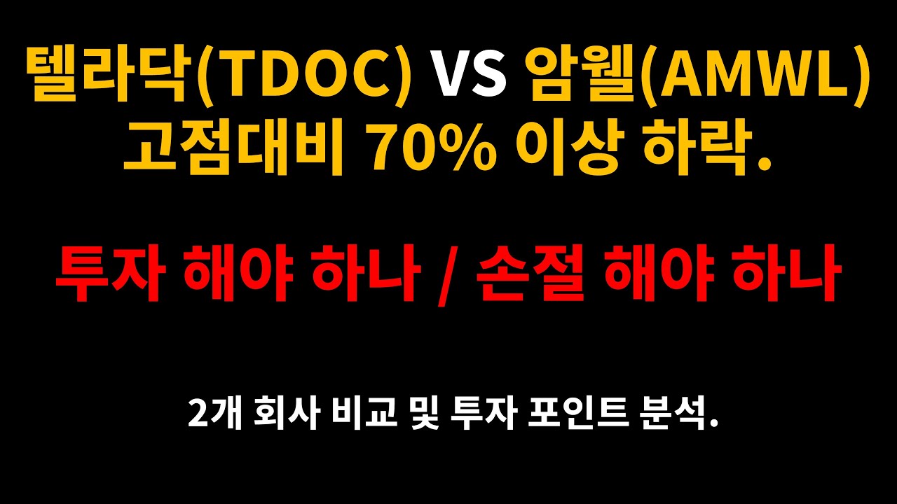 텔라닥(TDOC) VS 암웰(AMWL) 고점대비 70% 이상 하락 / 투자 해야 하나, 손절 해야 하나 / 2개 회사 비교 및 투자 포인트 분석.