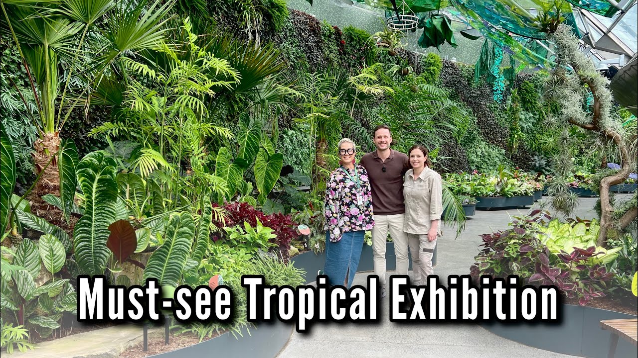 Rainforest Exhibition at the Botanic Garden Sydney