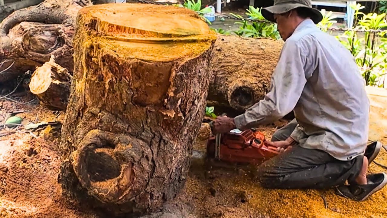 CUTTING INTO A RARE GOLDEN JACKFRUIT TREE: A Stunning Discovery!