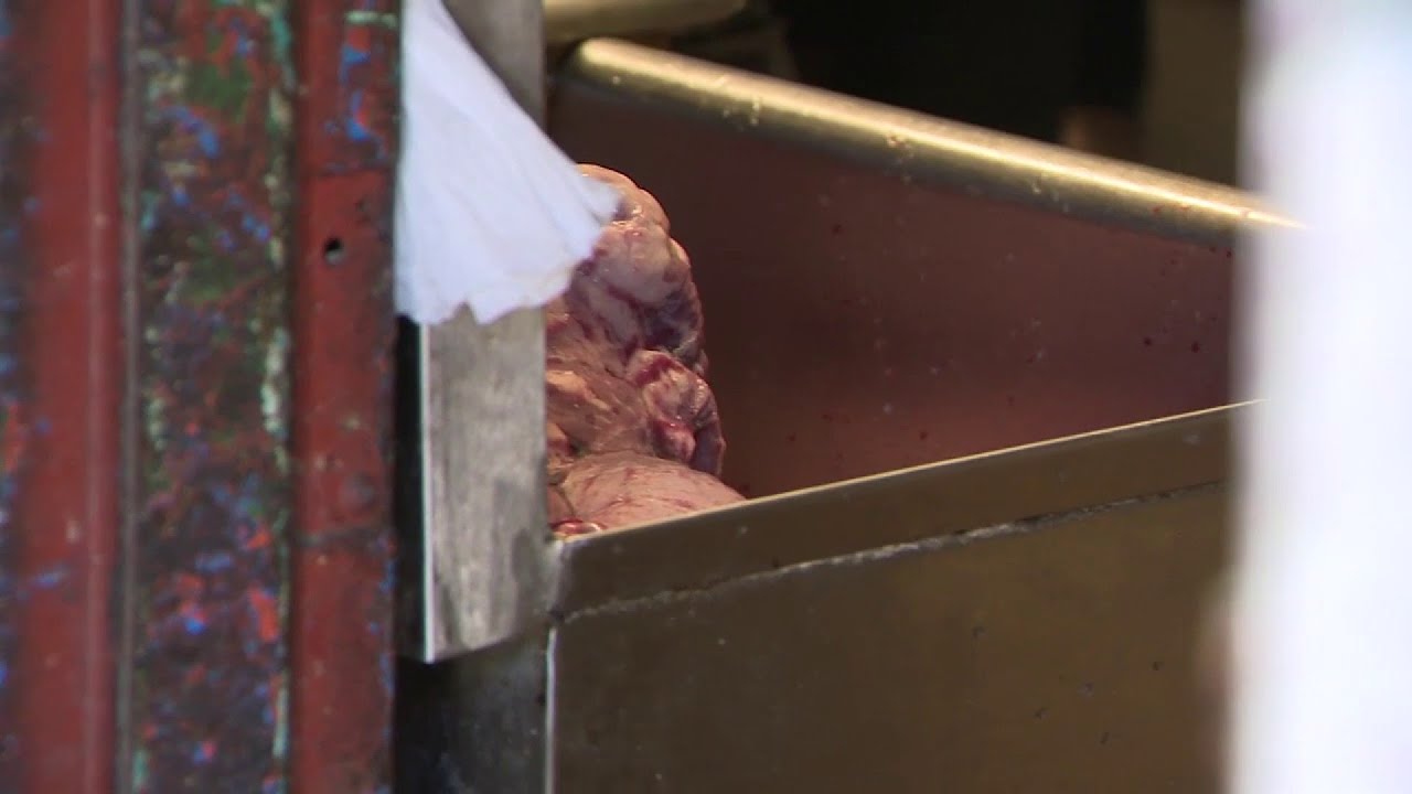 Грязный ужин: видео показывает разделку мяса возле ресторана La Hormiga De Oro II