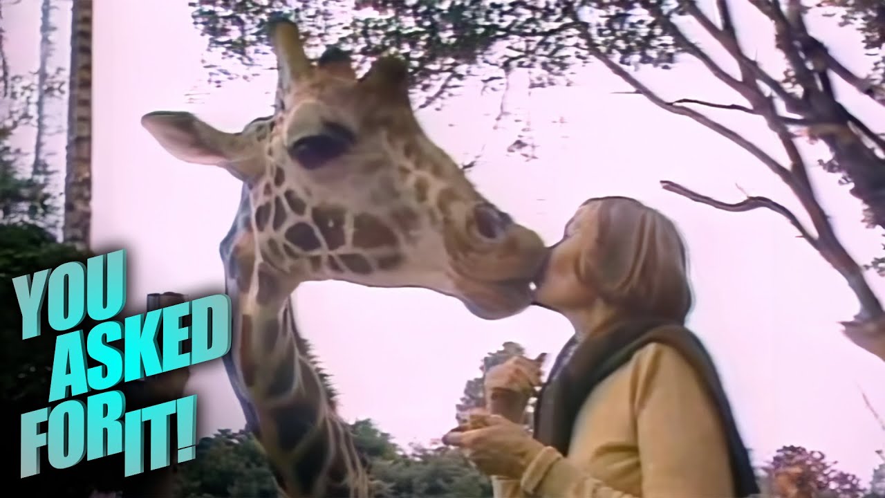Saving Giraffes from Extinction: The Melville Family's Kenyan Sanctuary