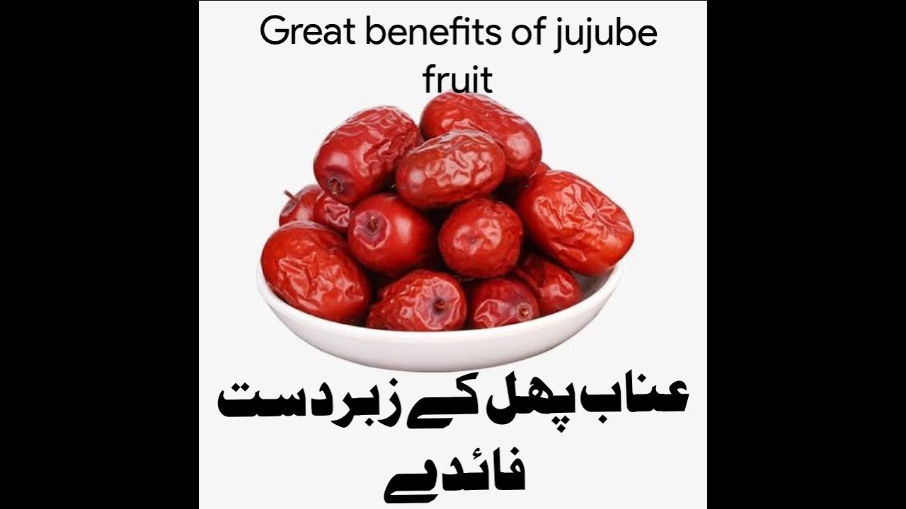 Jujube Benefits - Unab Ke Fayde - Jujube Benefits in Urdu/Hindi - Unab Ke Fayde in Urdu/Hindi