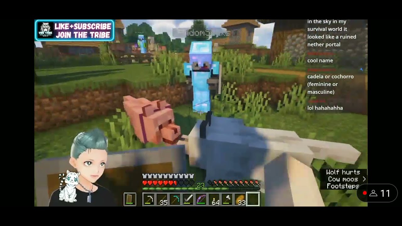 Alpha Steven vs 2 dogs | Clip from tai rebuilds smp|