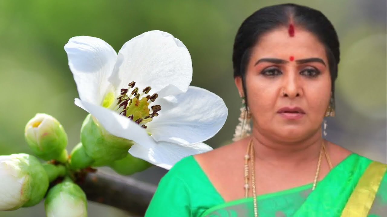 Chinna Marumagal Serial Upcoming Episode Review March 08th to 09th | 2026