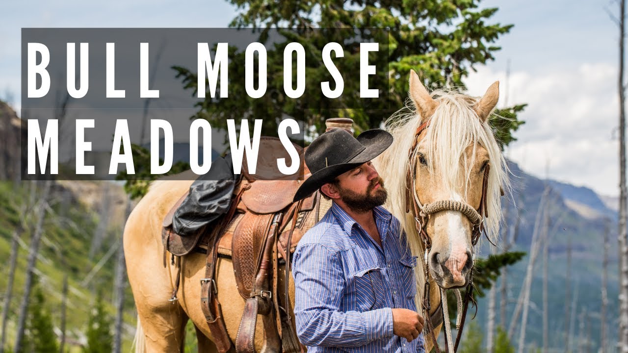 Bull Moose Meadows -----Absaroka Beartooth Wilderness
