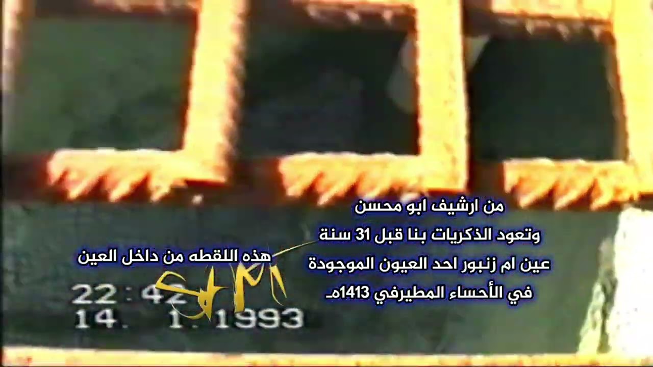 عين ام زنبور احد العيون الموجودةفي الأحساء المطيرفي 1413هـ