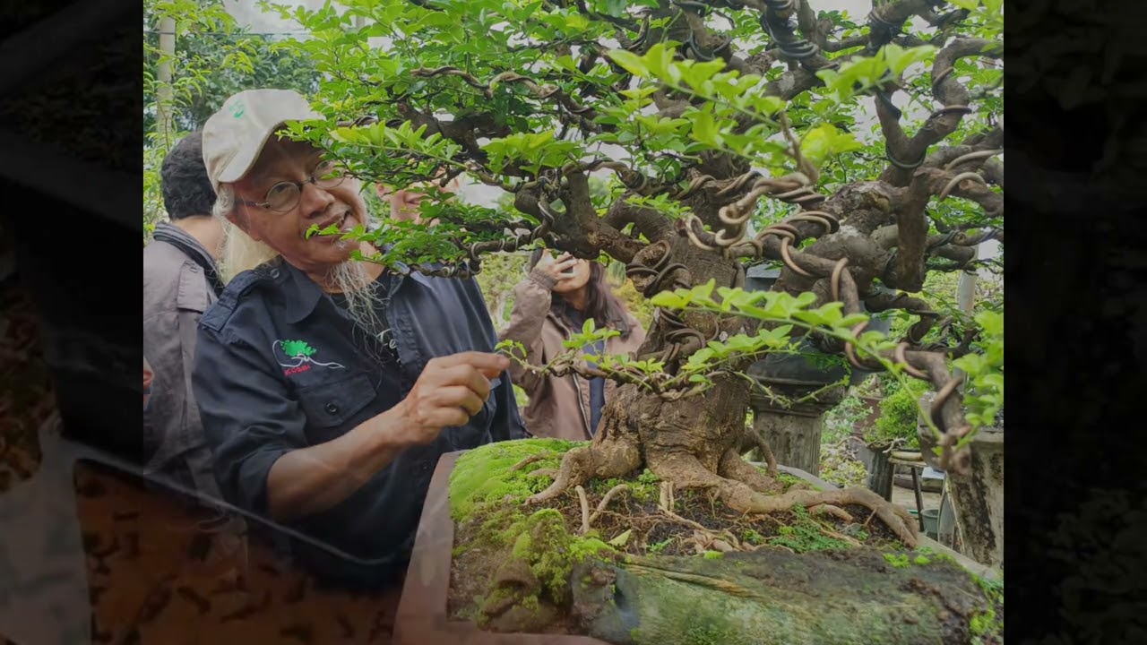 Kunjungan Bonsai Margonda Depok_Kelompok 3