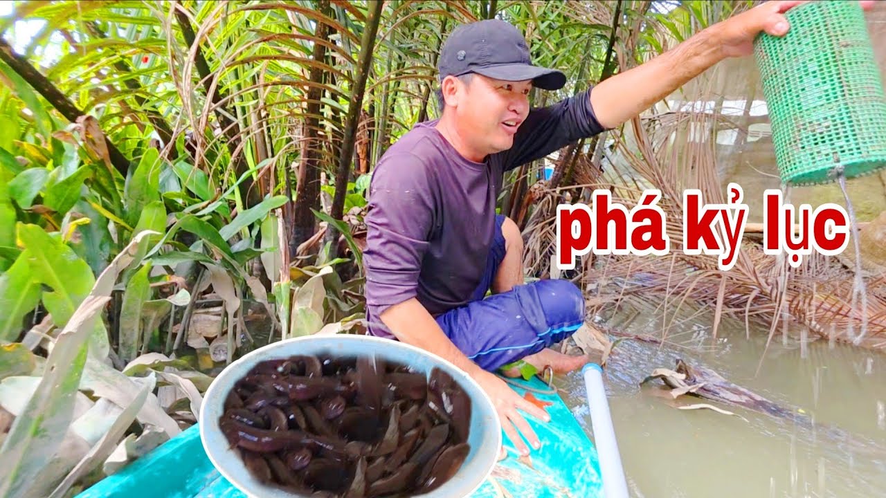 Phá Kỷ Lục Với 10 Cái Lợp Cá Bống, Gặp Sự Cố Khi Đang Dọn Vườn | TTVlog 