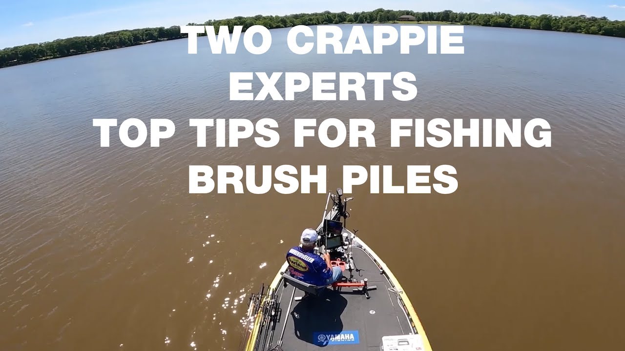 Two Crappie Experts Top Tips for Brush Piles