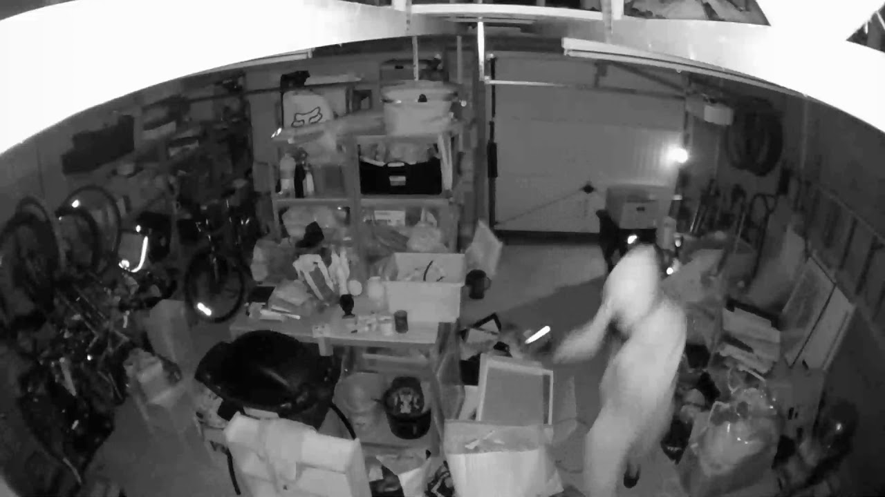 Bradford on Avon bike theft CCTV