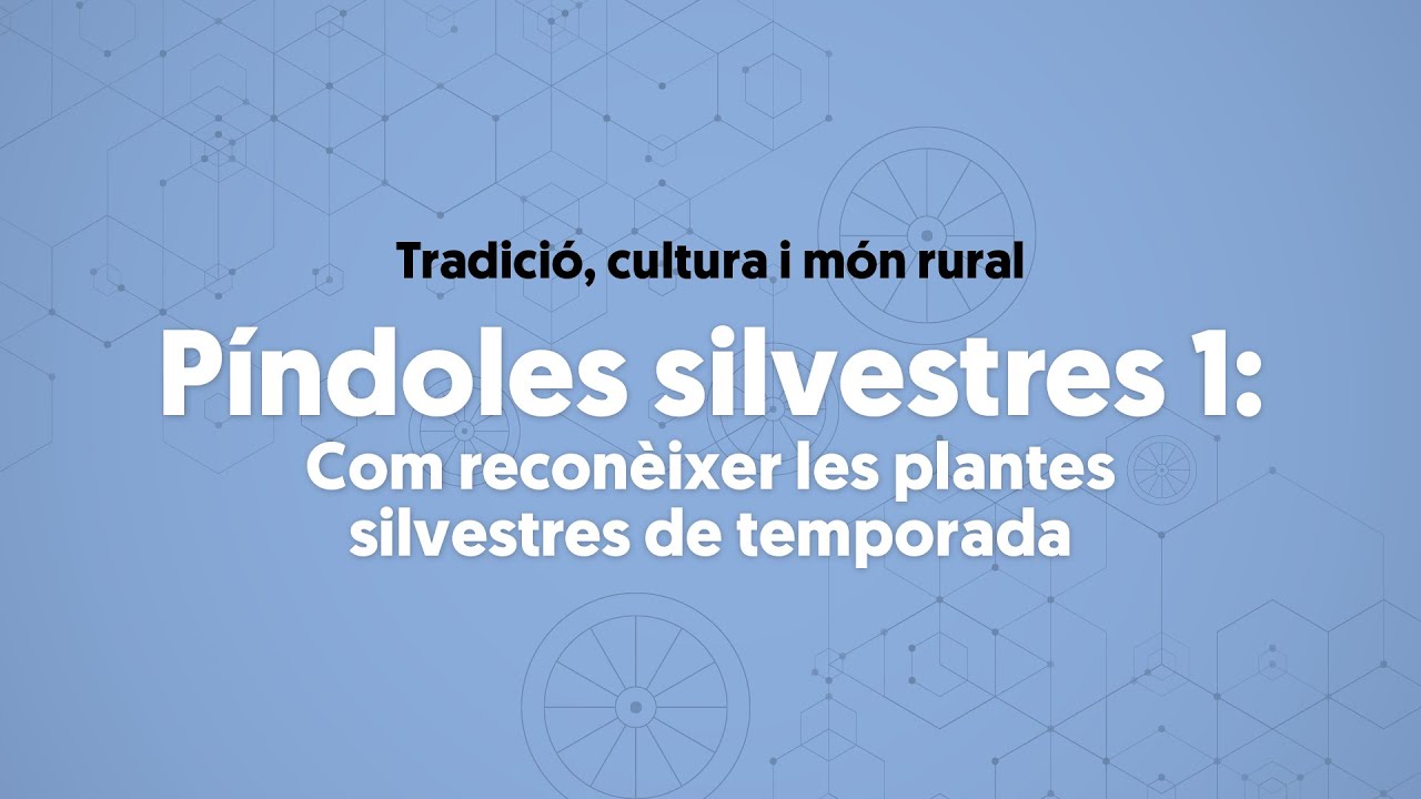 Píndoles silvestres 1: Com reconèixer les plantes silvestres de temporada