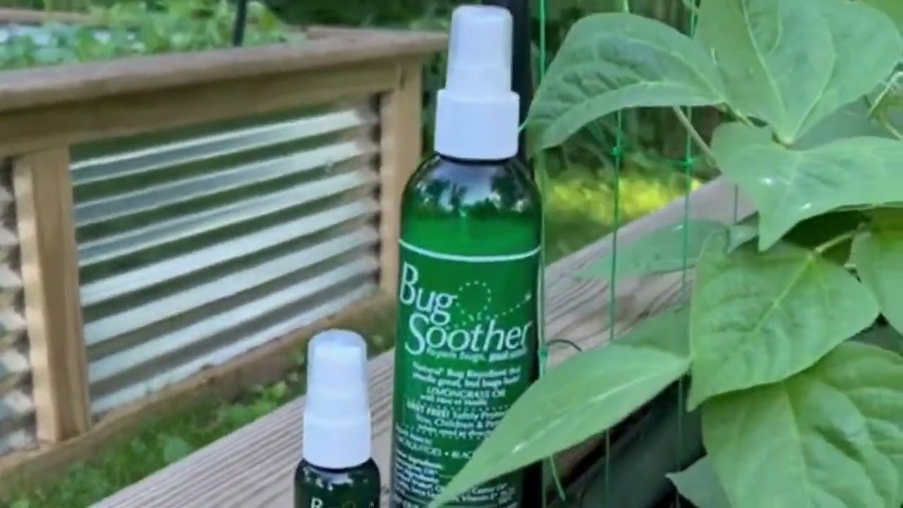 Natural Bug Repellent That Actually Works | Kid + Pet Safe!