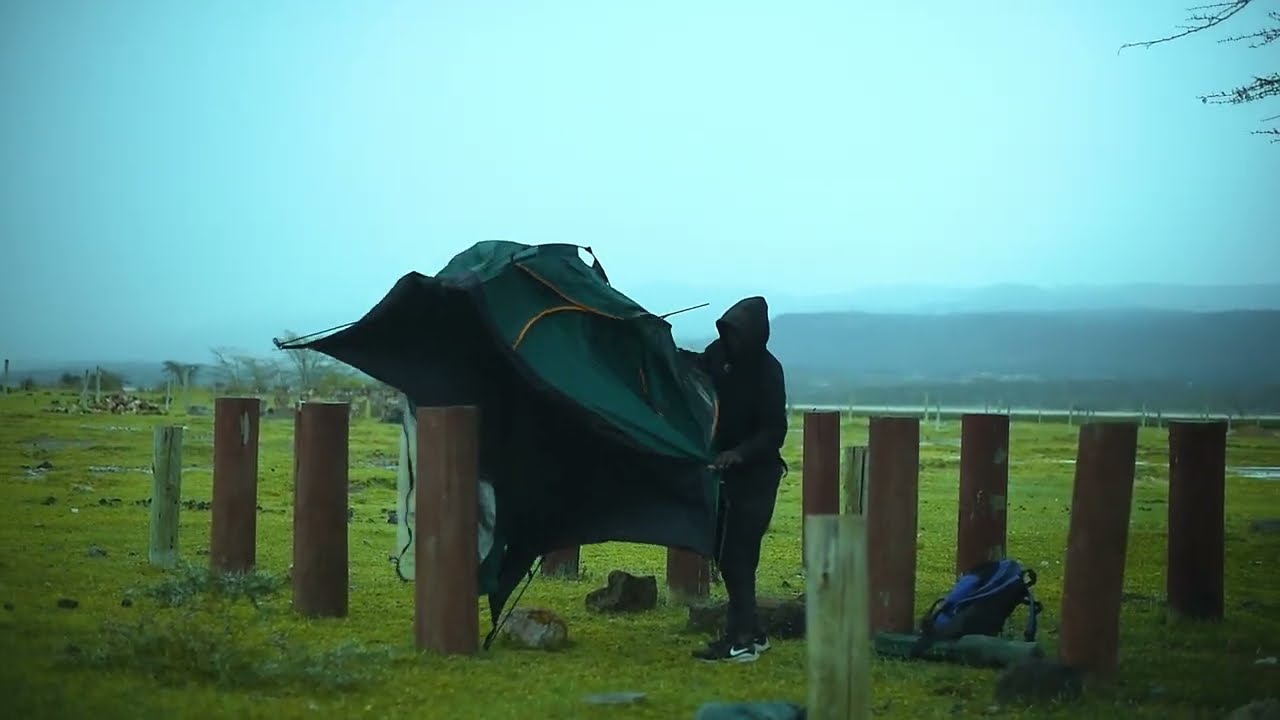 camping in the wild@watchingwildanimall