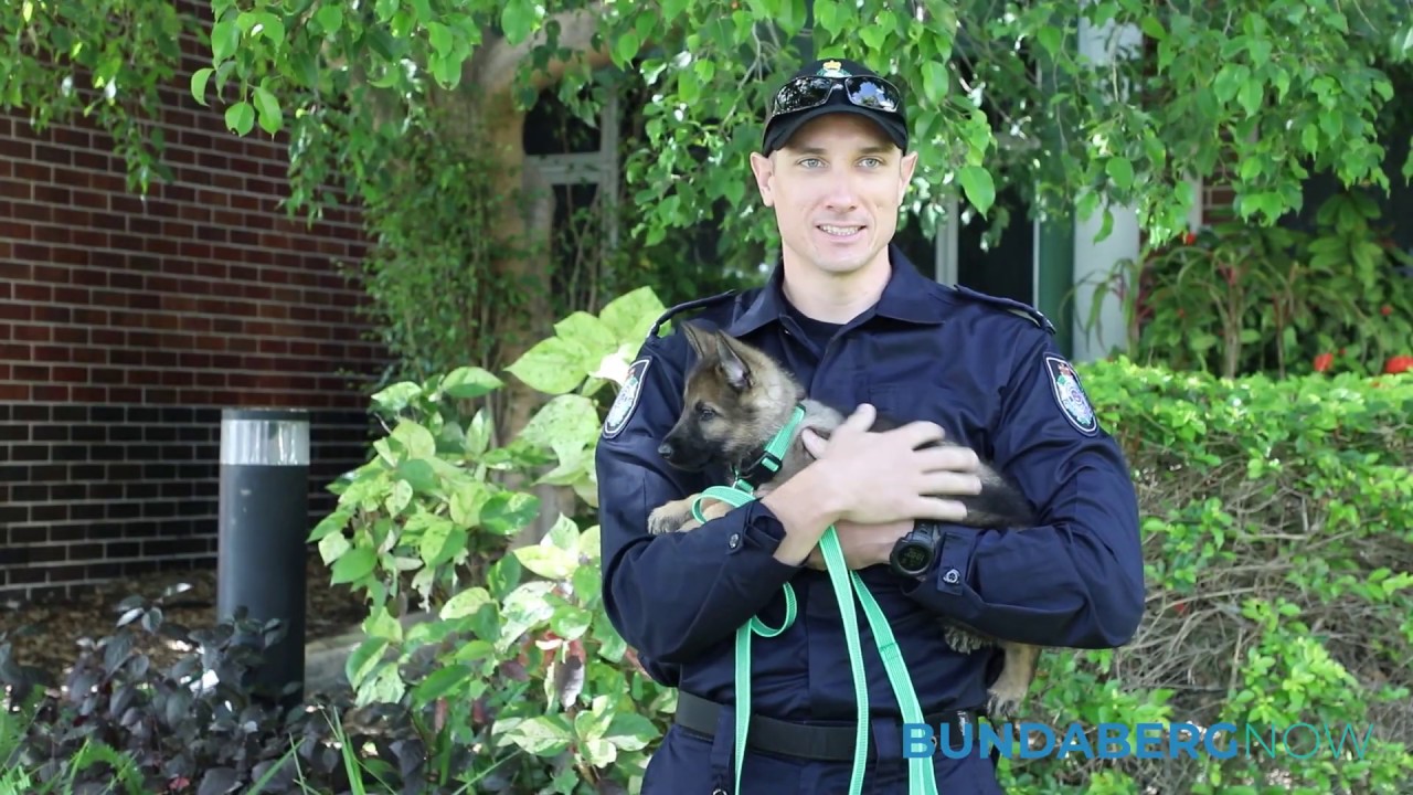 New recruit Uzi joins Bundaberg Police Station