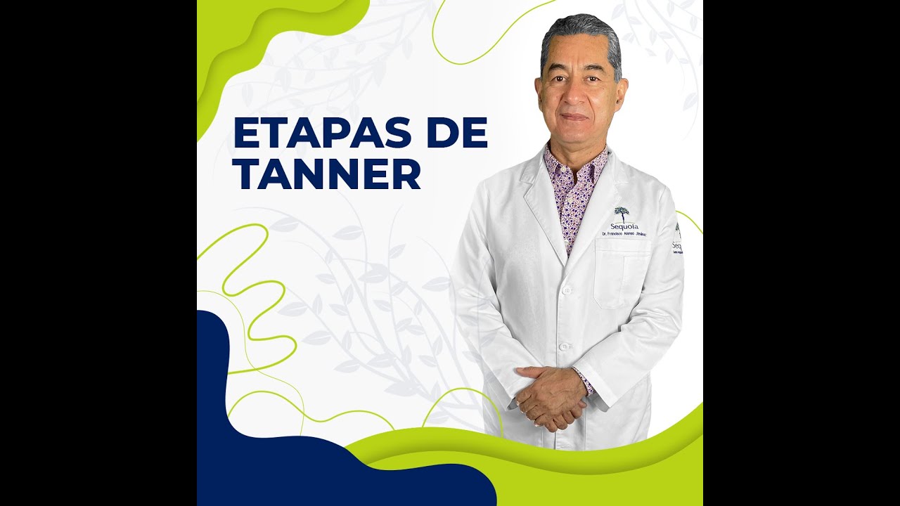 Etapas de Tanner