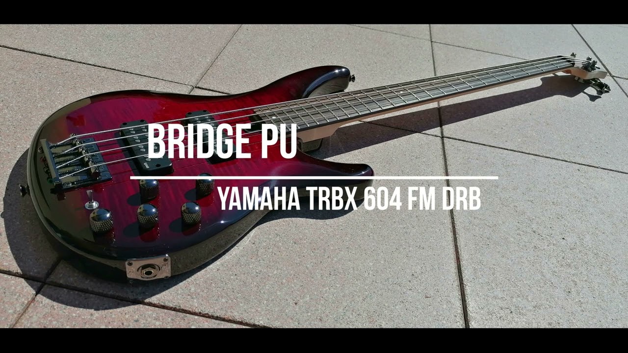 Sound Comparison: Yamaha TRBX-604-FM vs ESP LTD B-154 DX