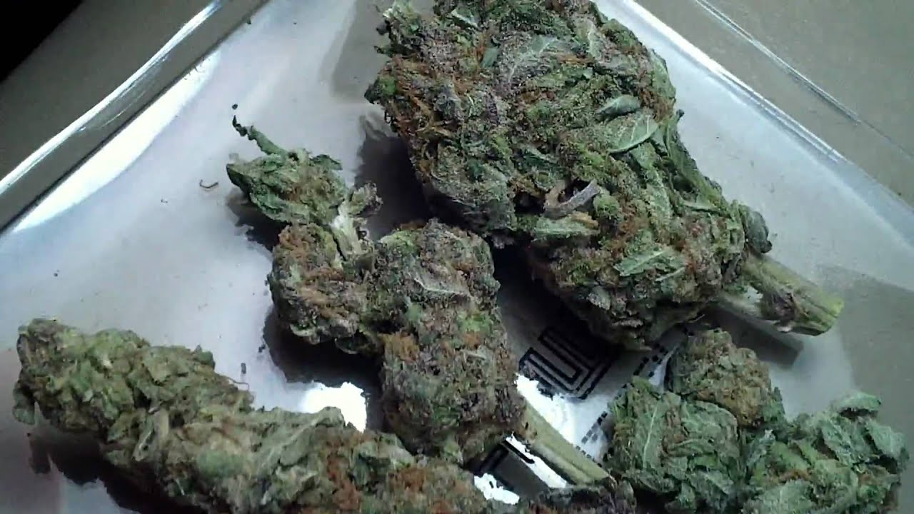 PURP UP CLOSE IN HD, GD PURP NUGS GREAT SMOKING ((KC))((MO))