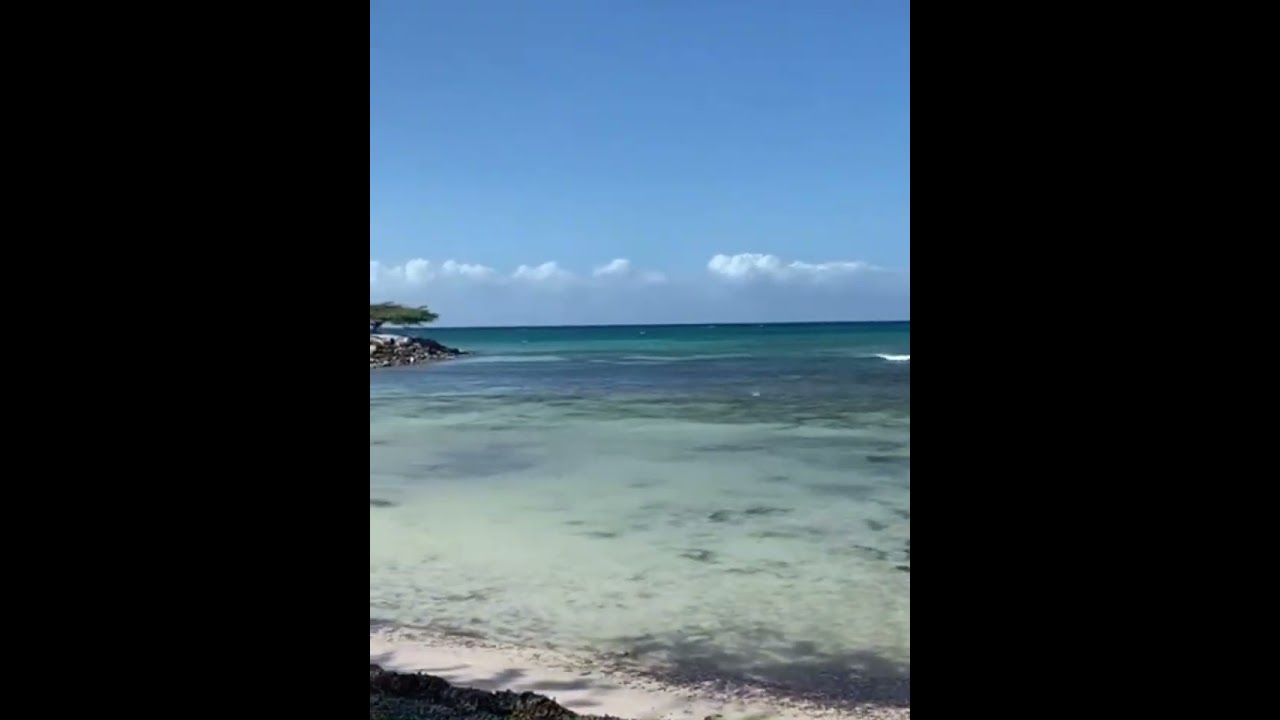 Воспоминания о Карибском море 