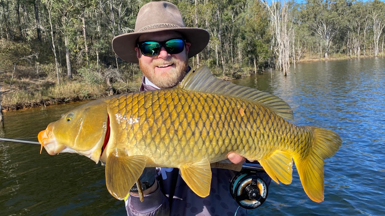 Sight casting cruising Carp on Fly