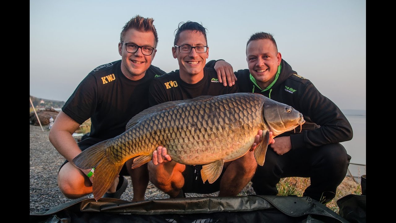 Karpervissen in Tsjechië - Een verslag van de World Carp Classic 2016