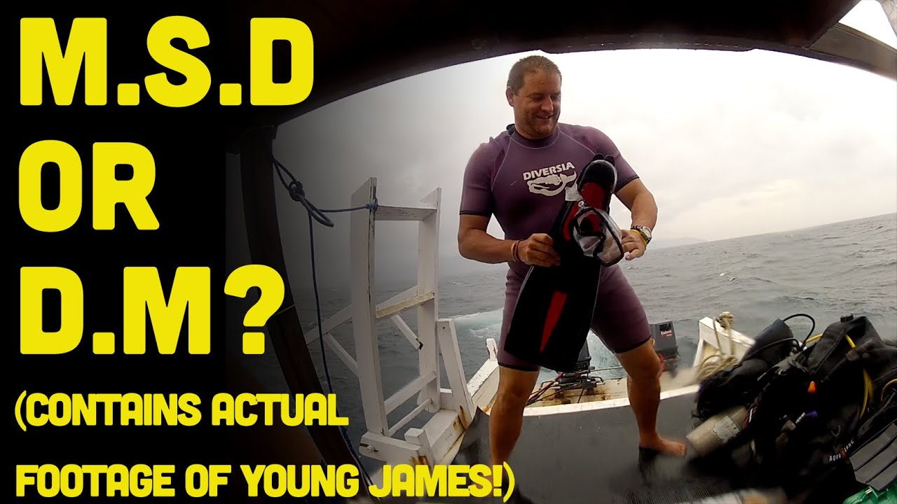 Master Scuba Diver Vs Dive Master... Which Should You Choose?
