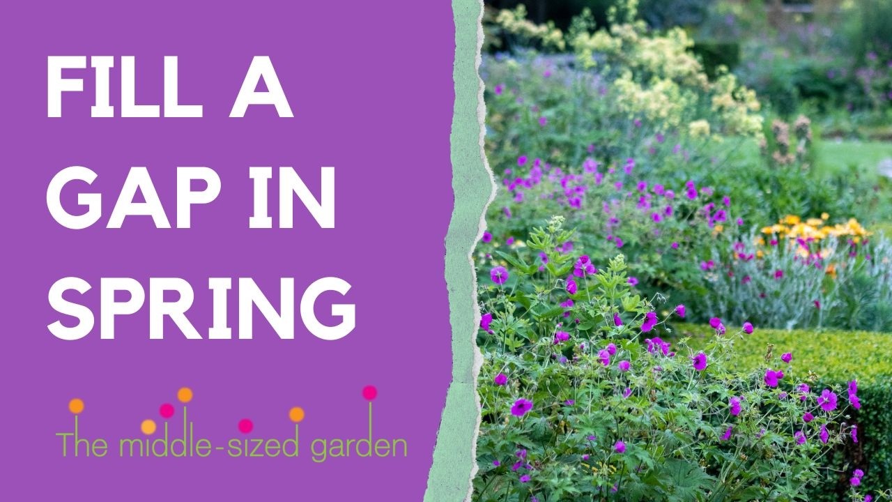 7 Expert Plant Growers Share Their Best Spring Garden Secrets